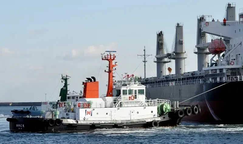 AWAJIMARU General Cargo IMO 9597898 photo 3