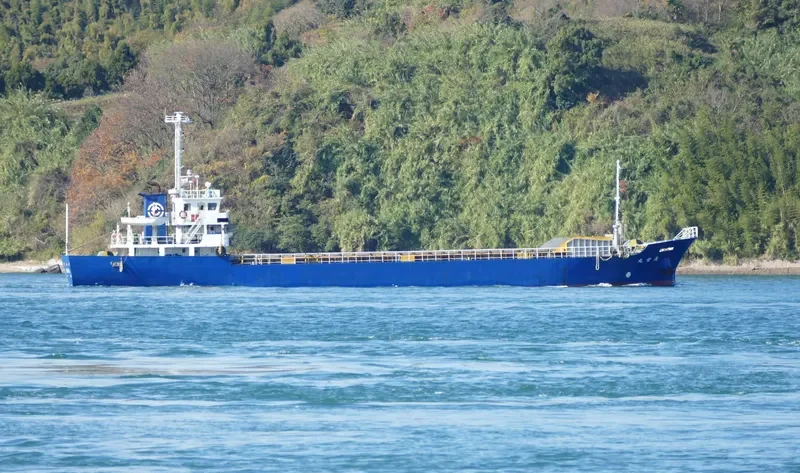 CHOEI MARU General Cargo IMO 9597941