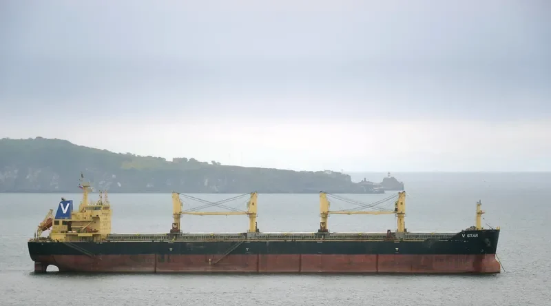 V STAR Bulk Carrier IMO 9598048 photo 2
