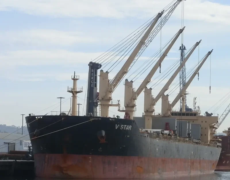 V STAR Bulk Carrier IMO 9598048 photo 6