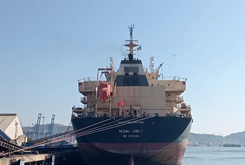 EASTERN DAPHNE Bulk Carrier IMO 9598050 photo 4