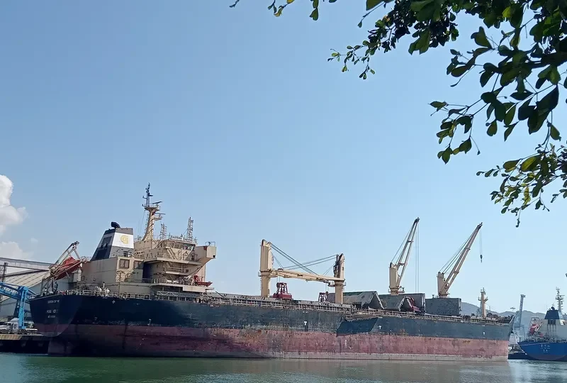 EASTERN DAPHNE Bulk Carrier IMO 9598050 photo 5