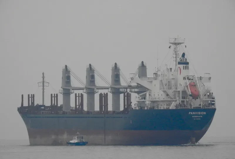 DIONE Bulk Carrier IMO 9598086
