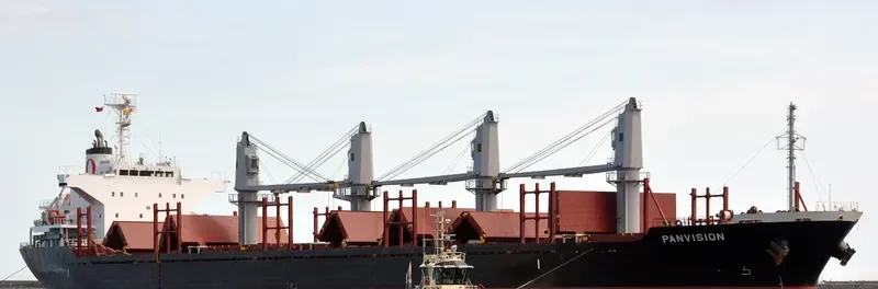 DIONE Bulk Carrier IMO 9598086 photo 5