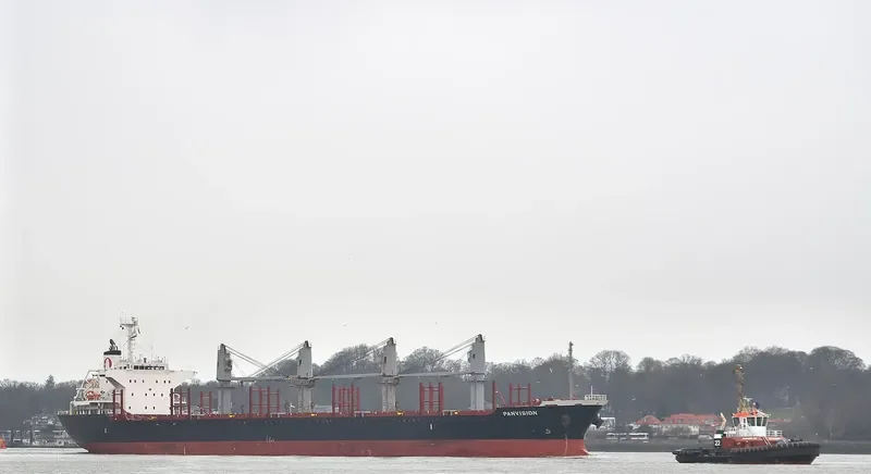 DIONE Bulk Carrier IMO 9598086 photo 8