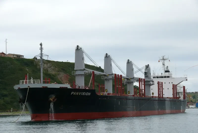 DIONE Bulk Carrier IMO 9598086 photo 10