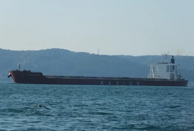 NAVIOS KOYO Bulk Carrier IMO 9598127 photo 5