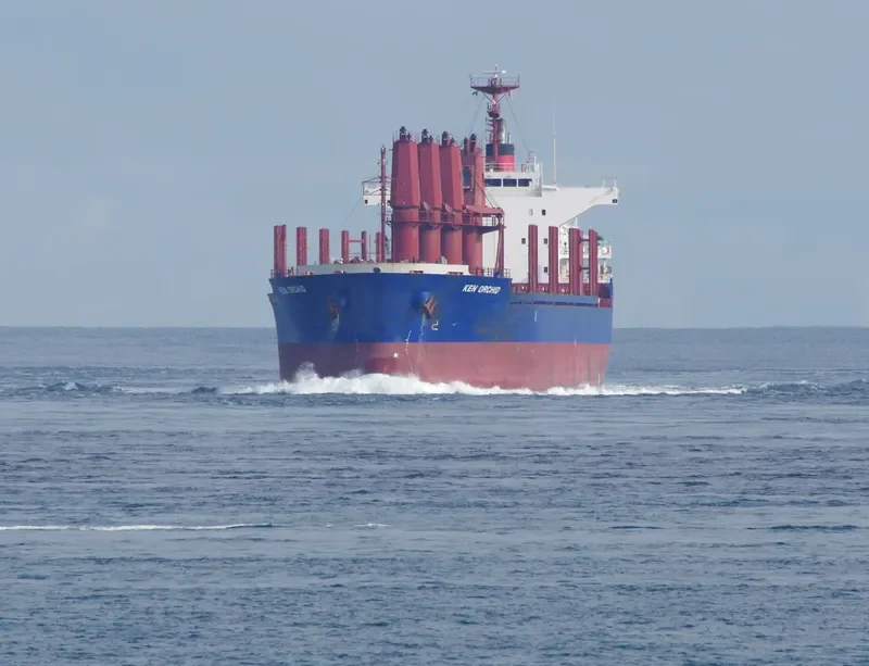 KEN ORCHID Bulk Carrier IMO 9598153 photo 2