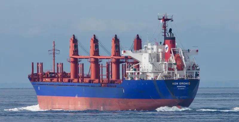 KEN ORCHID Bulk Carrier IMO 9598153 photo 3