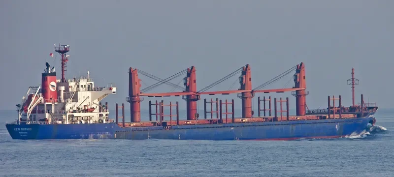 KEN ORCHID Bulk Carrier IMO 9598153 photo 7