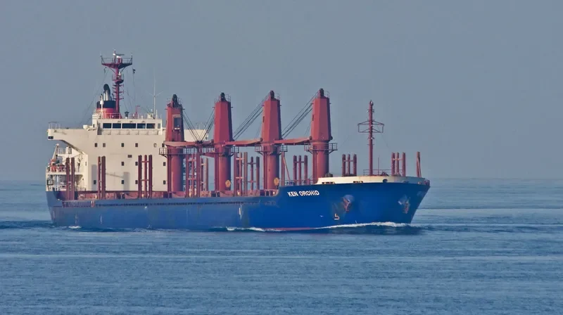 KEN ORCHID Bulk Carrier IMO 9598153 photo 9