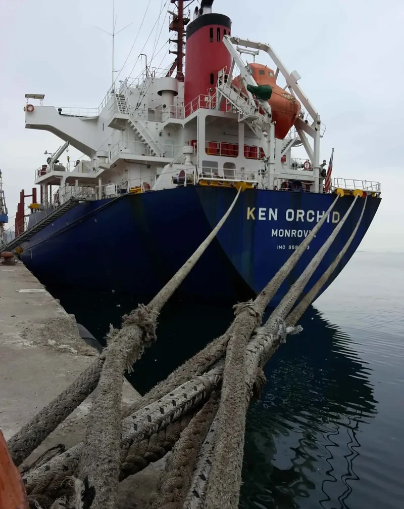 KEN ORCHID Bulk Carrier IMO 9598153 photo 10