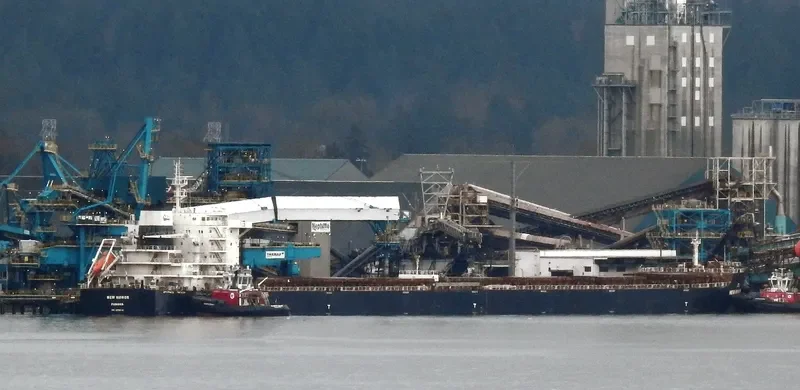 NEW HONOR Bulk Carrier IMO 9598191 photo 4