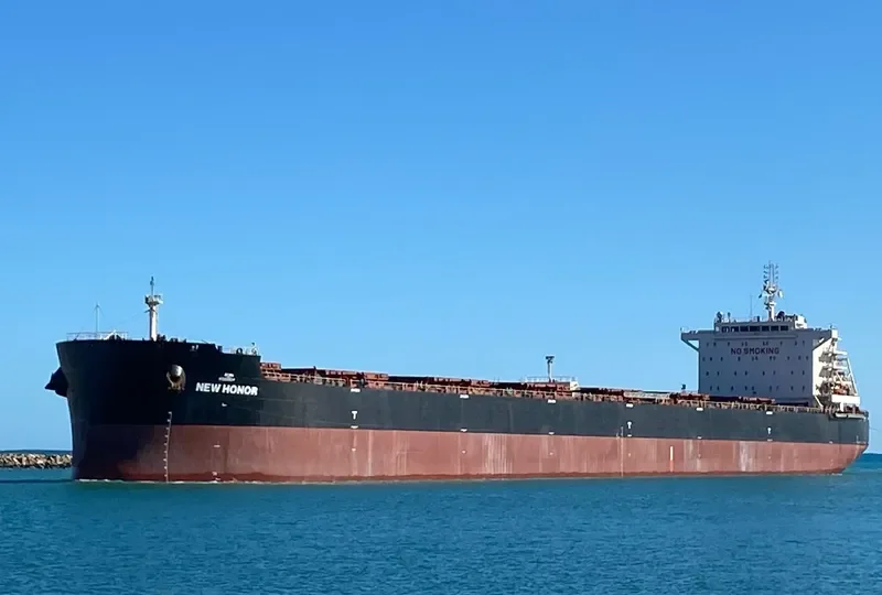 NEW HONOR Bulk Carrier IMO 9598191 photo 5