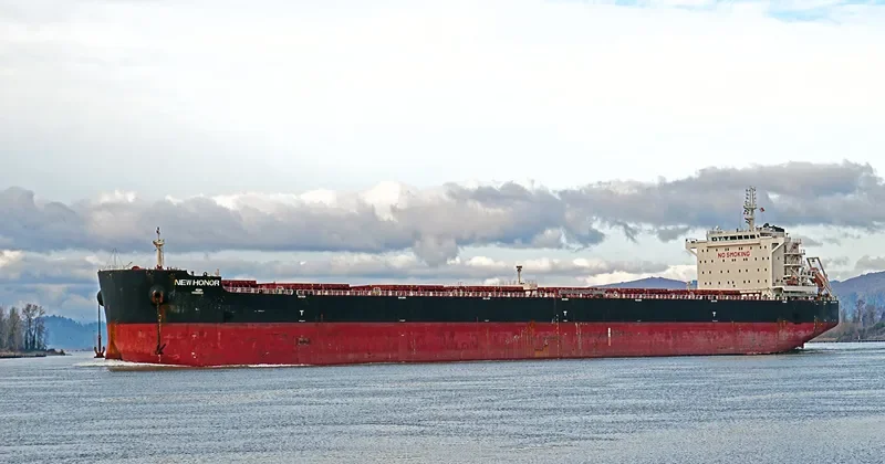 NEW HONOR Bulk Carrier IMO 9598191 photo 8