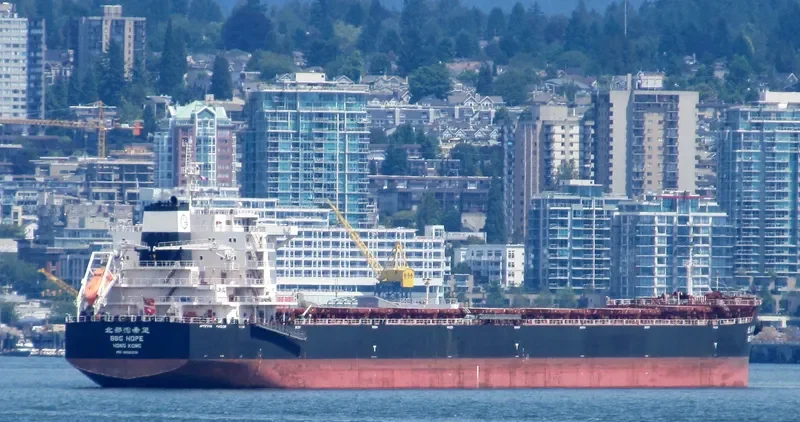 NEW PRESTIGE Bulk Carrier IMO 9598206 photo 2