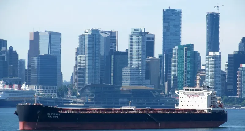 NEW PRESTIGE Bulk Carrier IMO 9598206 photo 3