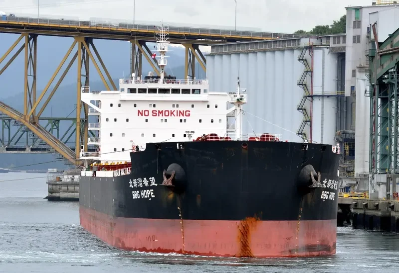 NEW PRESTIGE Bulk Carrier IMO 9598206 photo 5
