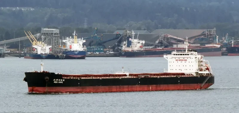 NEW PRESTIGE Bulk Carrier IMO 9598206 photo 6
