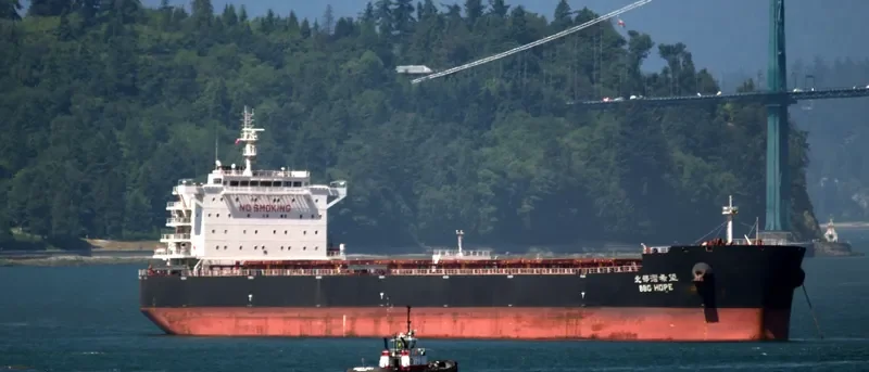 NEW PRESTIGE Bulk Carrier IMO 9598206 photo 8
