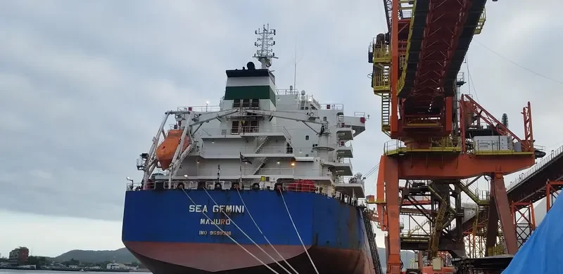 SEA GEMINI Bulk Carrier IMO 9598218