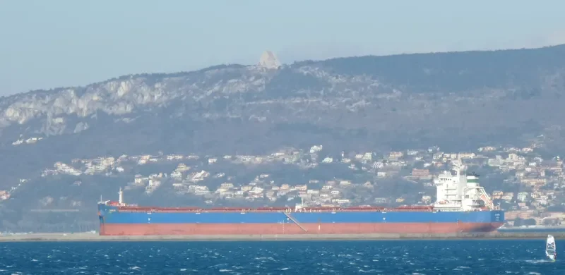 SEA GEMINI Bulk Carrier IMO 9598218 photo 3