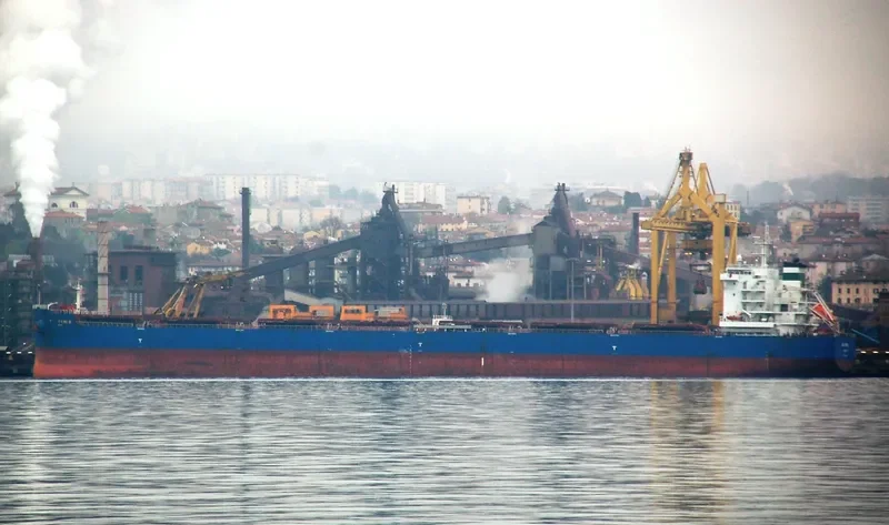 SEA GEMINI Bulk Carrier IMO 9598218 photo 4