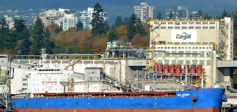 SEA GEMINI Bulk Carrier IMO 9598218 photo 5