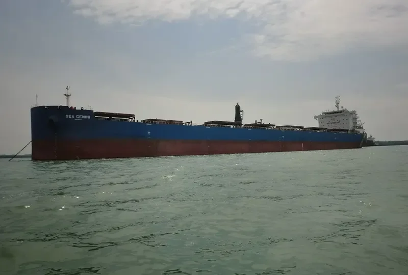 SEA GEMINI Bulk Carrier IMO 9598218 photo 8
