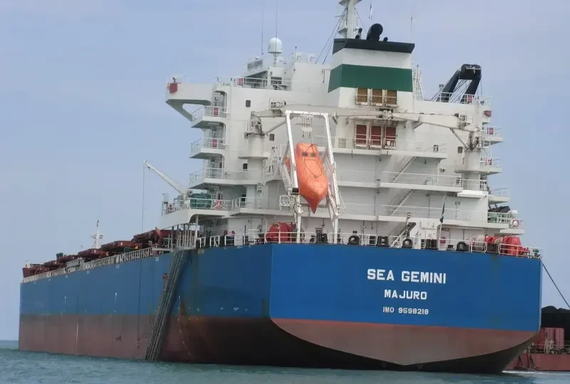 SEA GEMINI Bulk Carrier IMO 9598218 photo 9