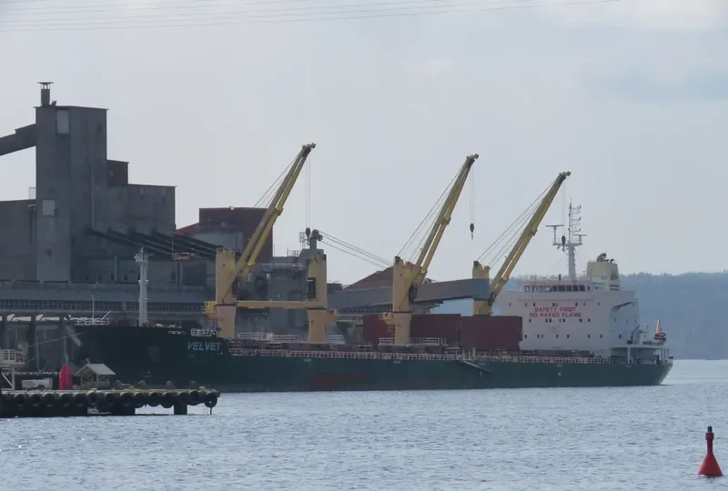 SEALION Bulk Carrier IMO 9598282