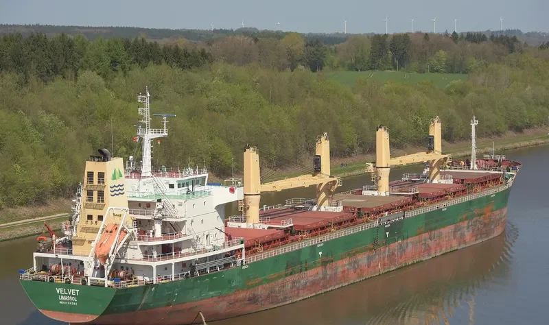 SEALION Bulk Carrier IMO 9598282 photo 2