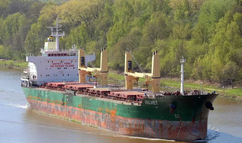 SEALION Bulk Carrier IMO 9598282 photo 3