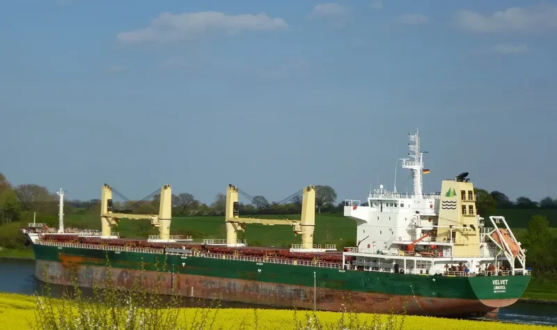 SEALION Bulk Carrier IMO 9598282 photo 5