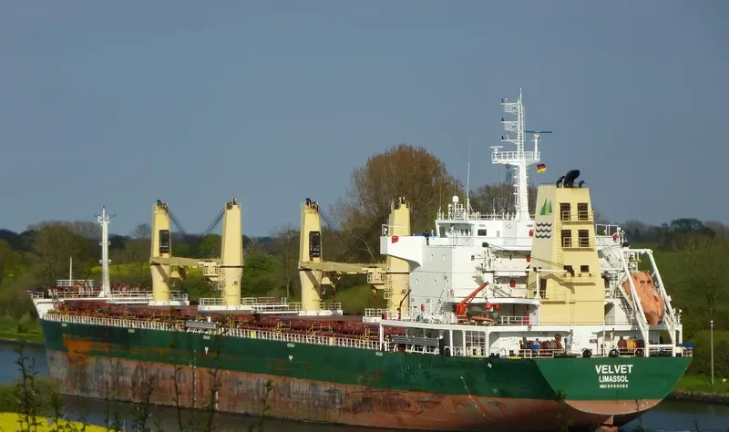 SEALION Bulk Carrier IMO 9598282 photo 6