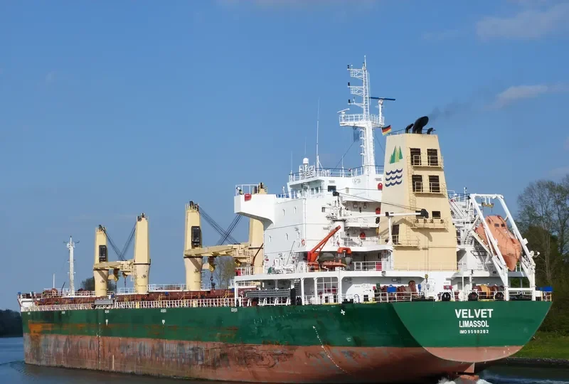 SEALION Bulk Carrier IMO 9598282 photo 7