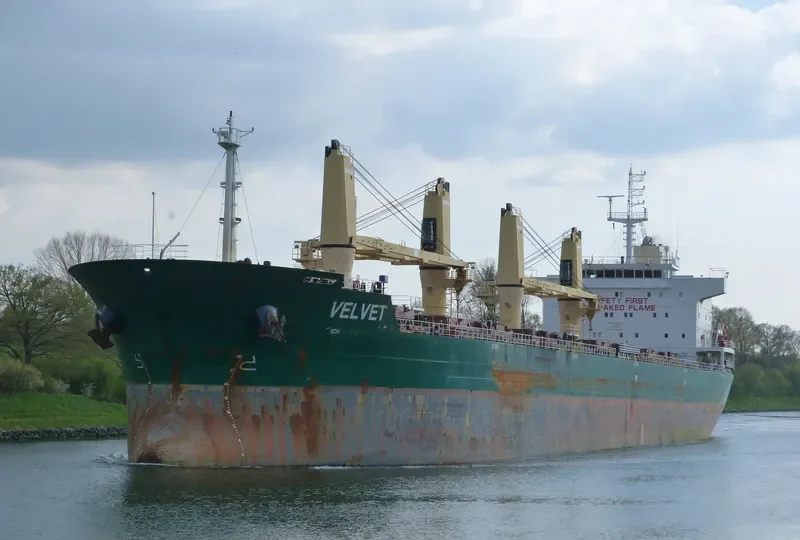 SEALION Bulk Carrier IMO 9598282 photo 8