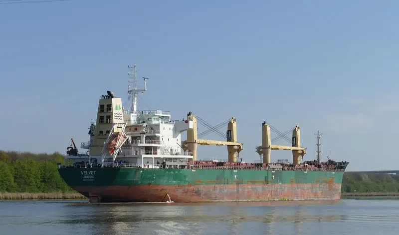 SEALION Bulk Carrier IMO 9598282 photo 9