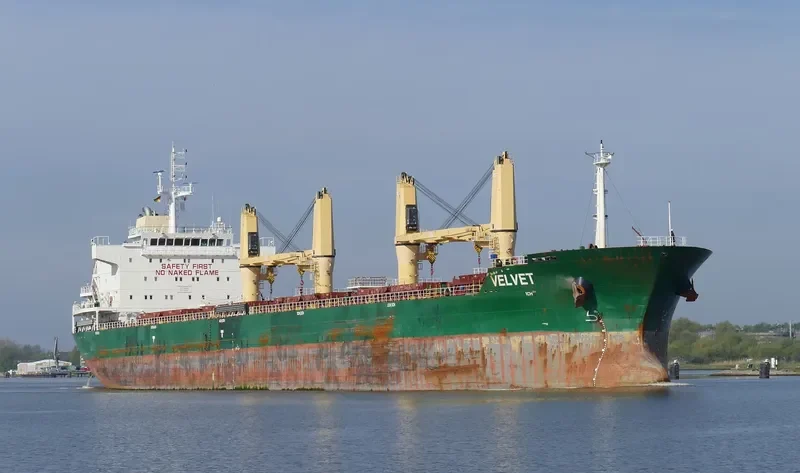 SEALION Bulk Carrier IMO 9598282 photo 10