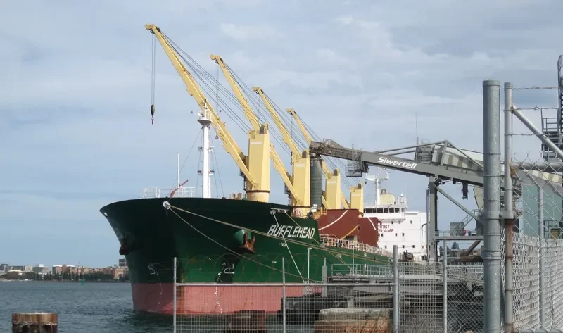SEAHOPE Bulk Carrier IMO 9598294