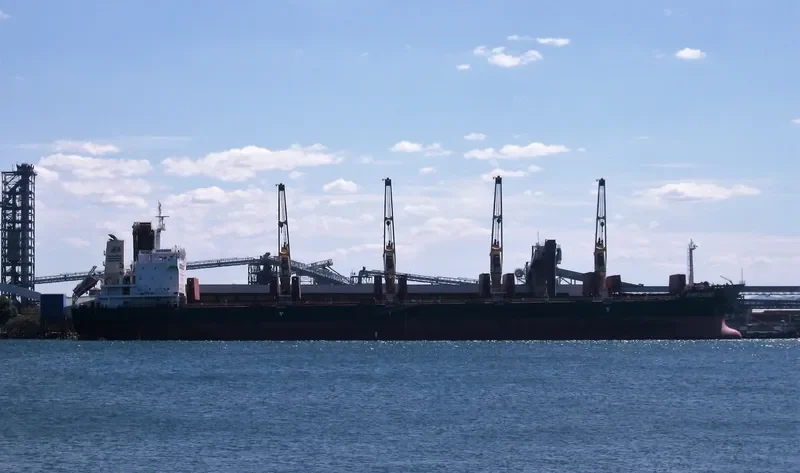 SEAHOPE Bulk Carrier IMO 9598294 photo 3