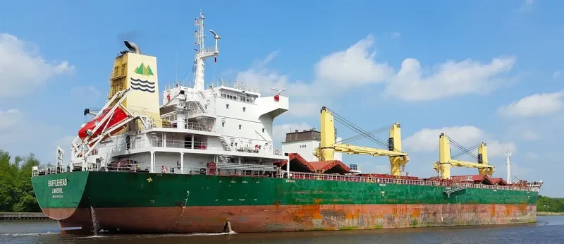 SEAHOPE Bulk Carrier IMO 9598294 photo 4