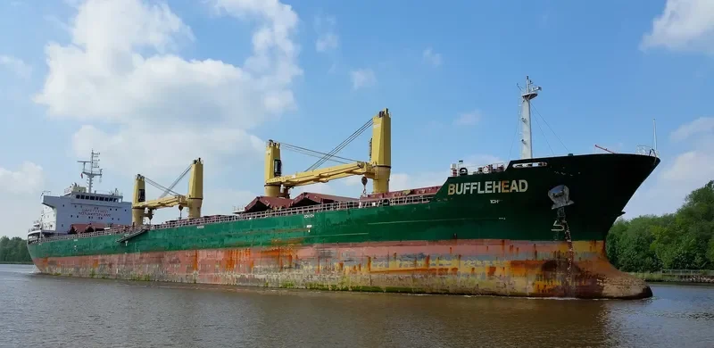 SEAHOPE Bulk Carrier IMO 9598294 photo 5