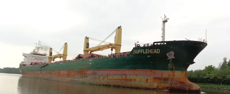 SEAHOPE Bulk Carrier IMO 9598294 photo 6