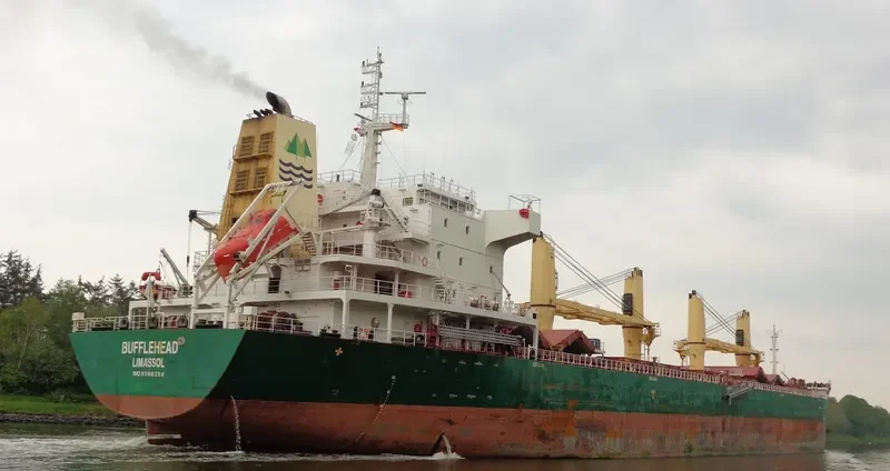 SEAHOPE Bulk Carrier IMO 9598294 photo 7