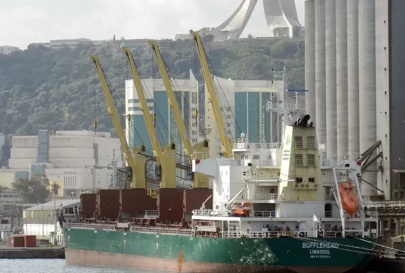 SEAHOPE Bulk Carrier IMO 9598294 photo 8