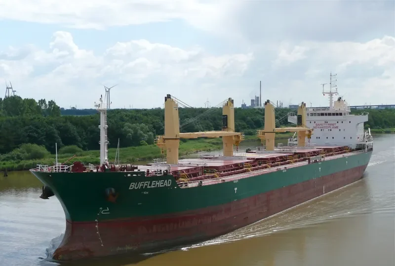 SEAHOPE Bulk Carrier IMO 9598294 photo 9