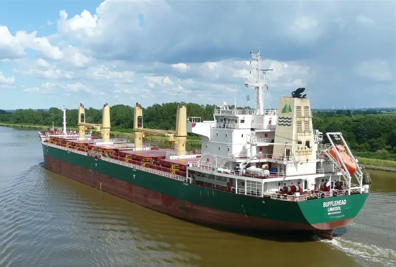SEAHOPE Bulk Carrier IMO 9598294 photo 10