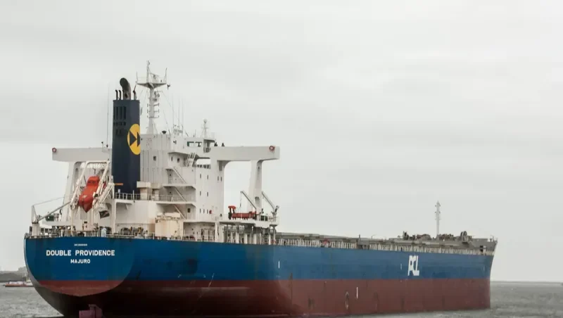 DOUBLE PROVIDENCE Bulk Carrier IMO 9598309 photo 8