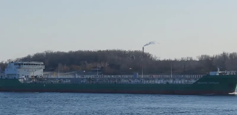 MEKHANIK POGODIN Tanker IMO 9598397 photo 7